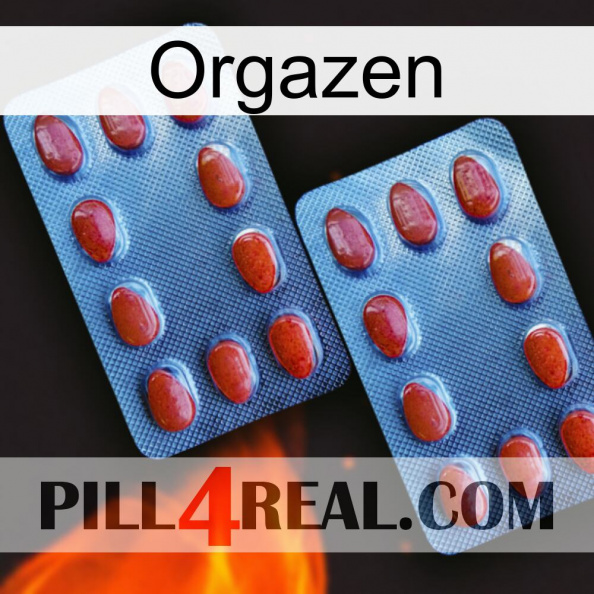 Orgazen 05.jpg